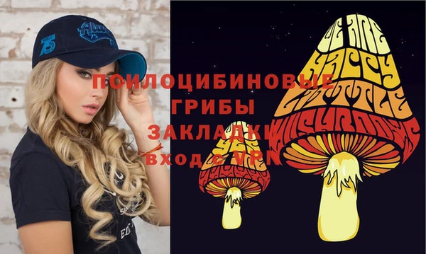 синтетический гашиш Михайловск
