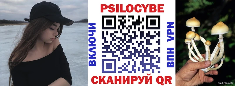 Псилоцибиновые грибы ЛСД  как найти закладки  Щёлково 